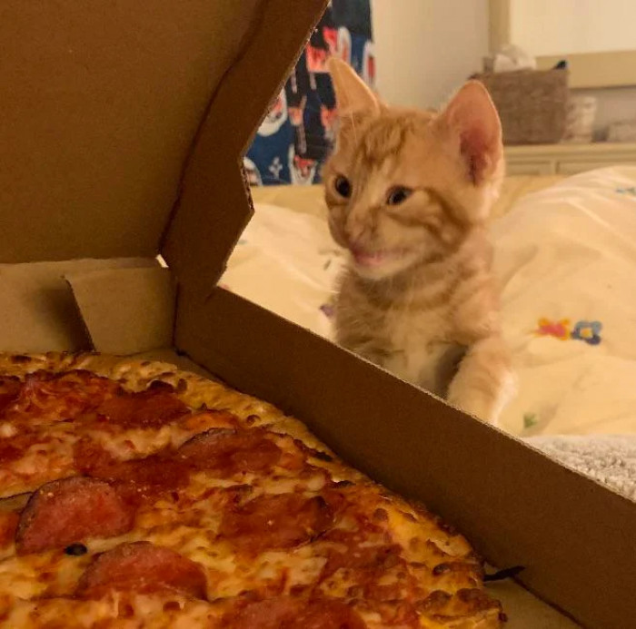 2. Waiting for a pizza for half an hour, only to find out they put the wrong toppings on it