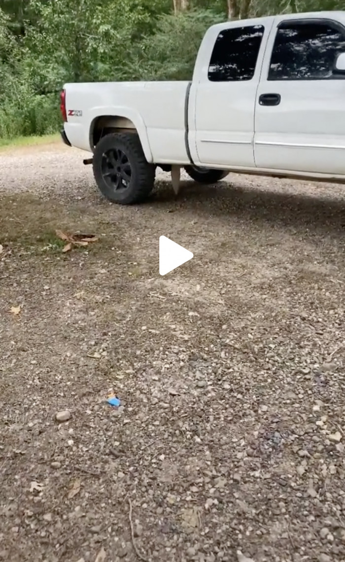 Peep the tiny tail hiding innocently under the truck