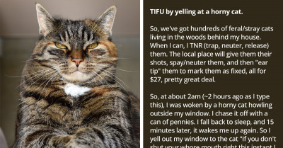 Woman Yells At A Loud, Feral Cat In The Middle Of The Night, Neighbors Call 911 And Accuse Her Of Domestic Violence