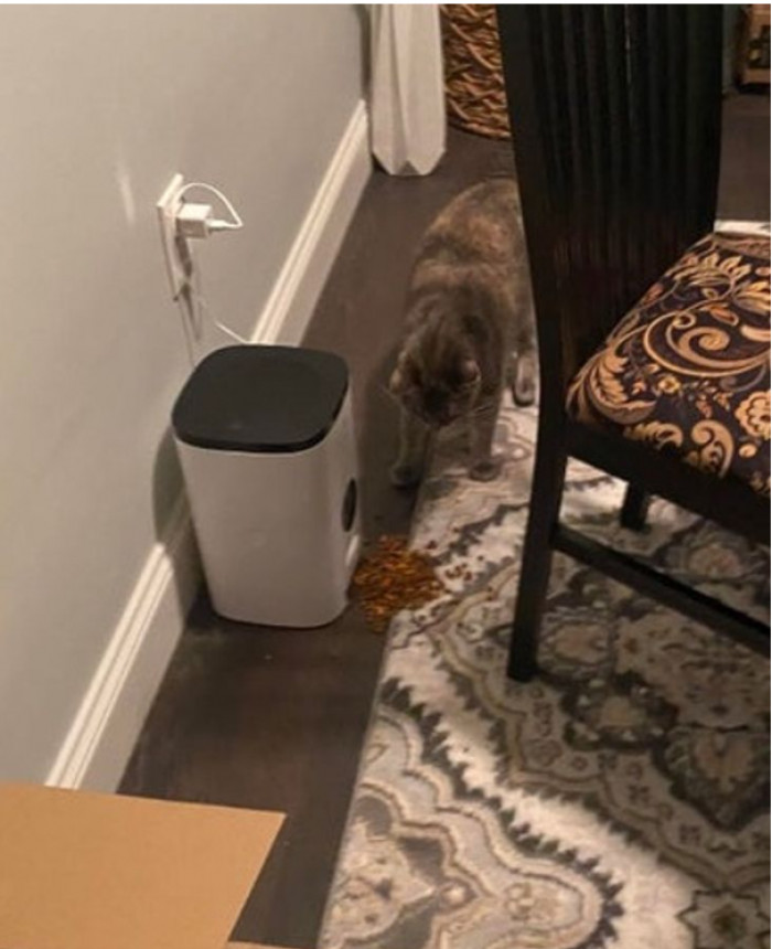 18. “Forgot to put the bowl back on her automatic feeder.”