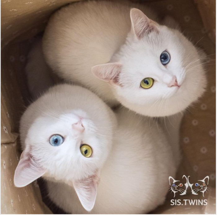 8. Those stares can make you feel like you're in heaven