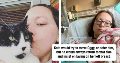 Sweet Cat's Unusual Snuggling Habits Alerted His Owner That She Had Cancer Before She Was Diagnosed