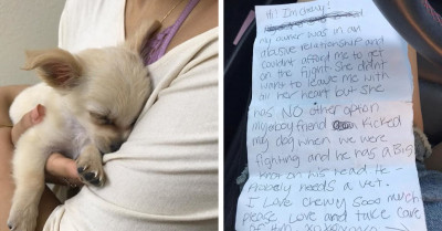 Abandoned Puppy Found Inside An Airport's Restroom Had A Heartbreaking Note From His Mom