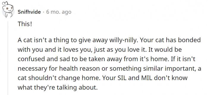 "A cat is not a thing to give away."