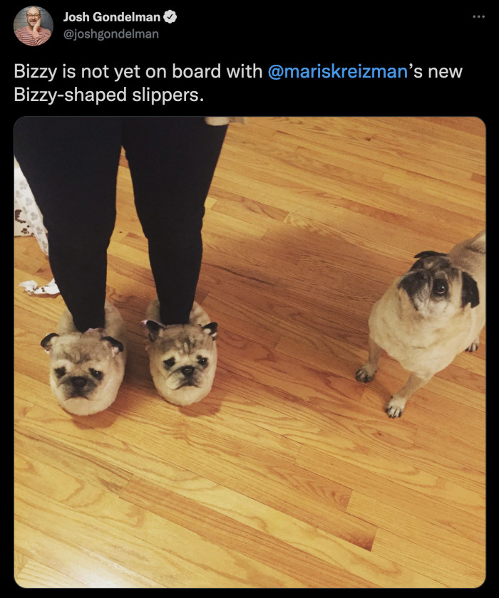 6. I'm with the dog here. The level of disrespect is unacceptable!