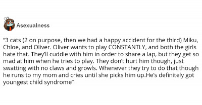 20 People Who Own Multiple Pets Share The Hilarious Drama Going On Between Them