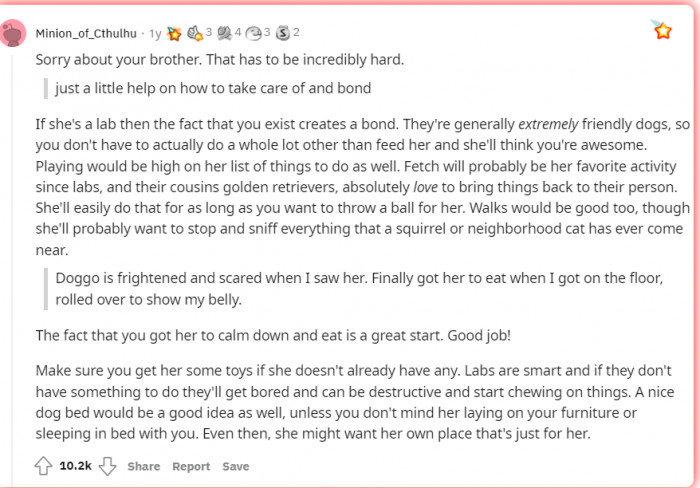 People came with open arms to give him advice.