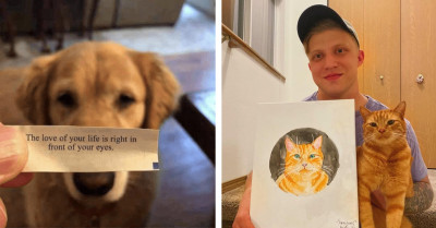 23 Heartwarming Animal Photos To Make You Smile