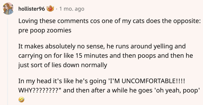 Some cats do pre-poop zoomies instead of post-poop sprints