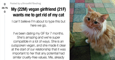 Man's Vegan Girlfriend Demanded He Give Away His Cat To Be With Her