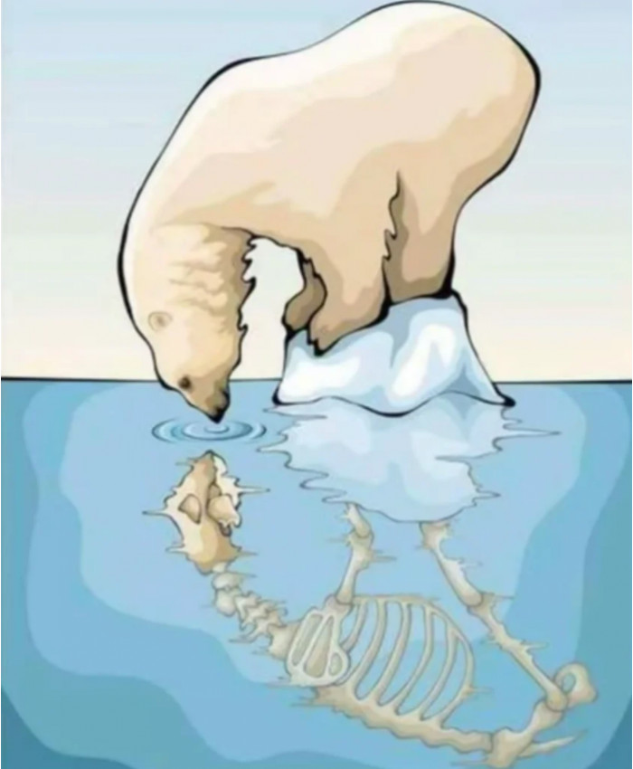 15. Climate change is real; we need to take action now, or we will have to face the harsh reality.