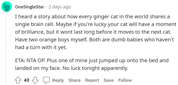 These stories form the basis for the fact spoken by OP.