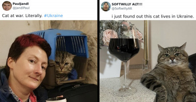 “7 Days Ago Everything Changed”: War In Ukraine Through the Eyes of a Housecat