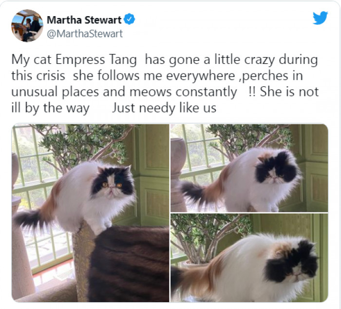 9. Meet the empress, Tang.