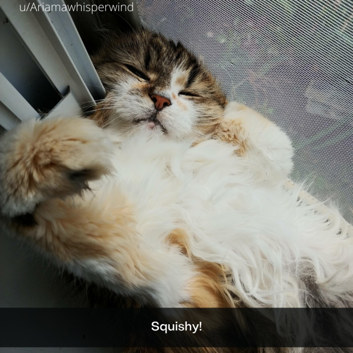 6. Just compress yourself into the screen, why don't you?