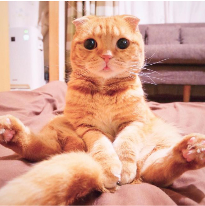 9. Muyta wants you to look deep into his eyes