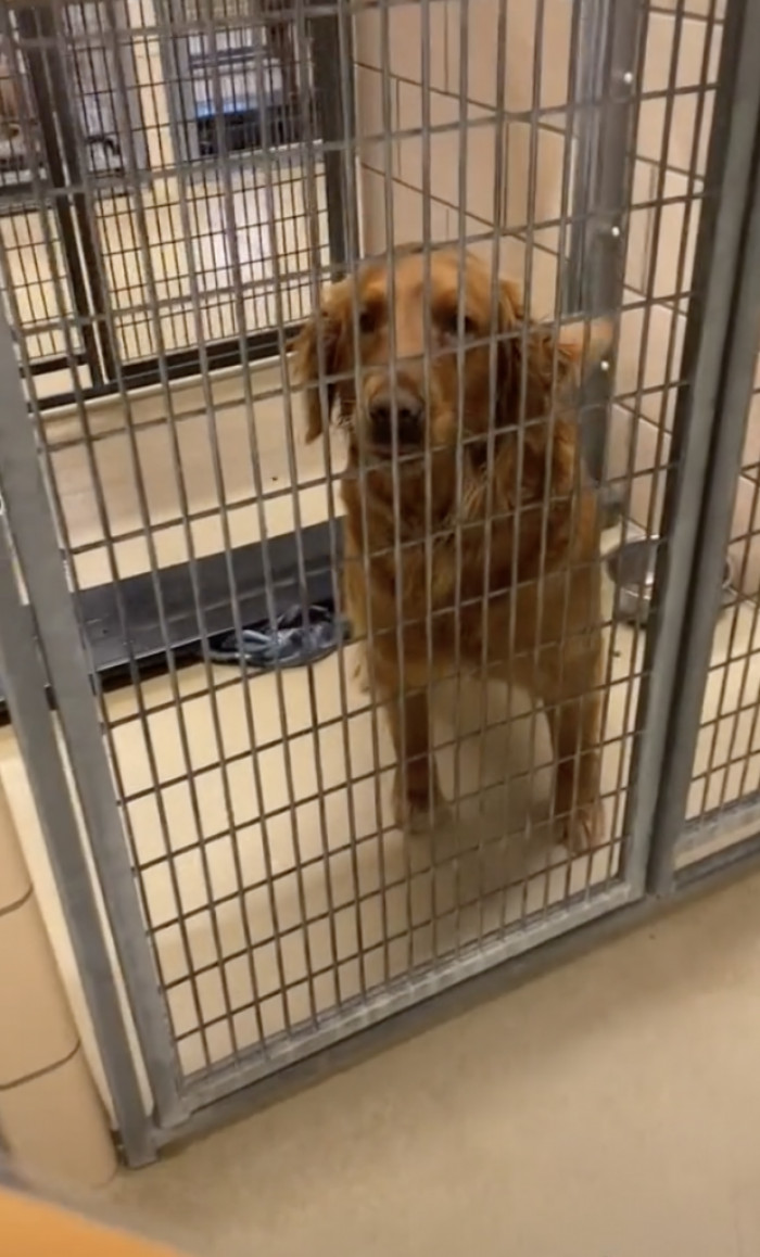 About to be set free...