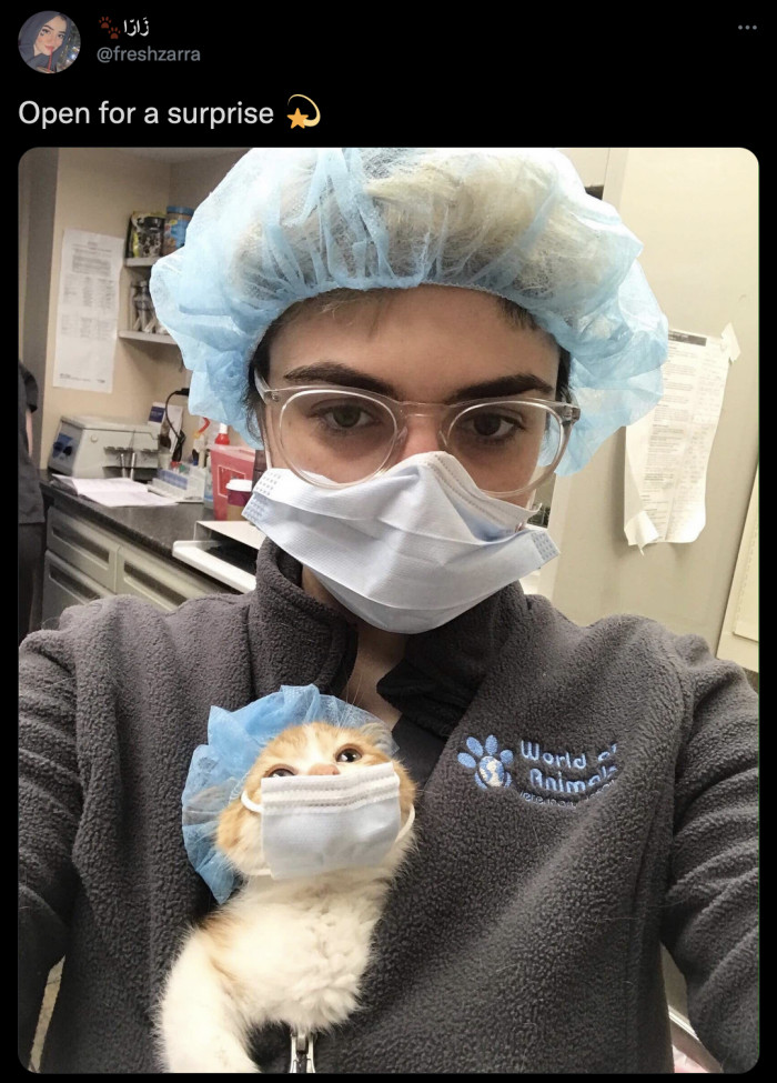 10. The most qualified vet assistant there is! Wear your mask, people.
