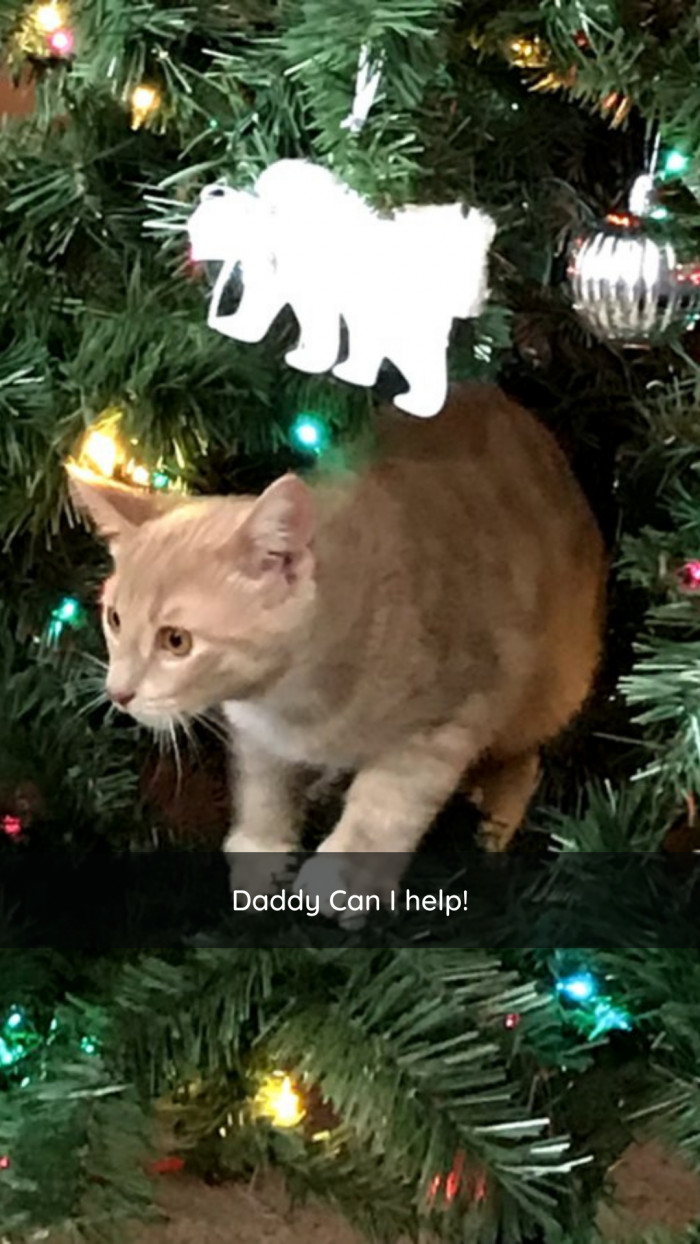 11. This BEBBY wants to hang ornaments, too!