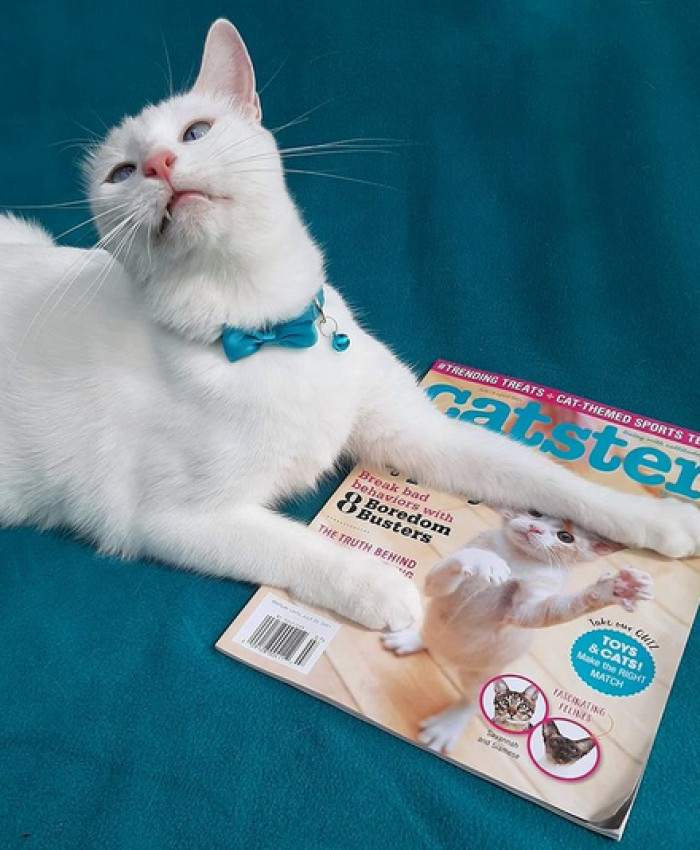 To be fair, who doesn't love a good cardboard box?