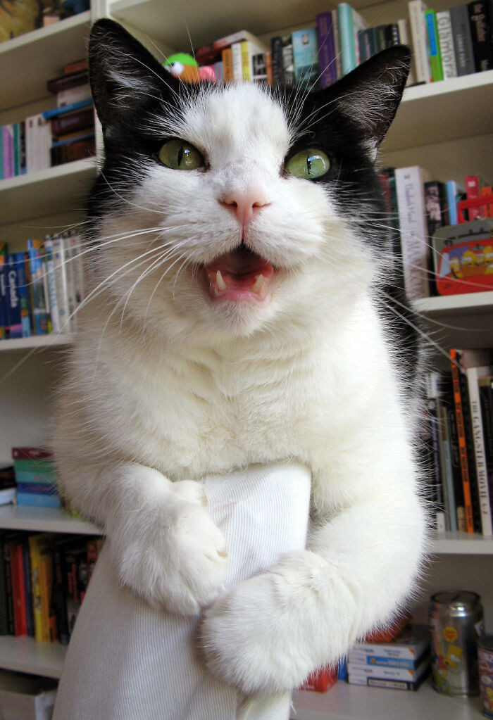 9. This Is So Sweet of Her