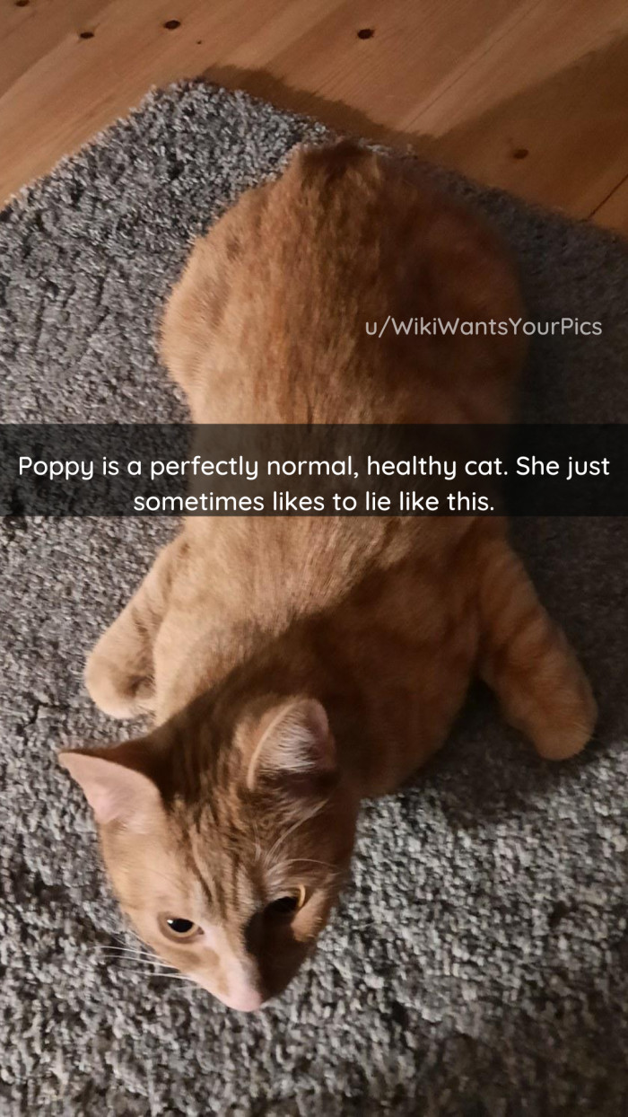 25. Okay, Poppy.