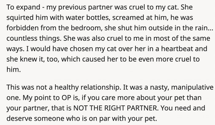 The commenter elaborated and shared their own experience, stating that if you love your pet more than your partner, then that’s not the right person for you; you should at least be with someone you love equally as your pets.
