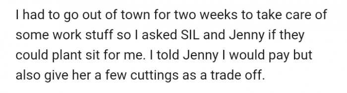 Sister-in-law and Jenny decided to plant-sit for OP (original poster) while she was out of town