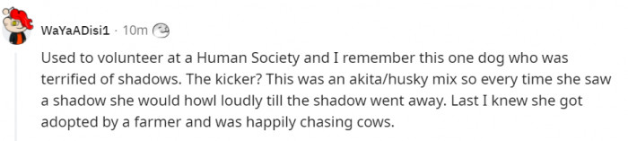 7. No shadows on that farm, I guess...