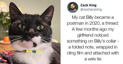 Helpful Cat Delivers Notes Back and Forth Between His Humans and the Neighbors He Visits
