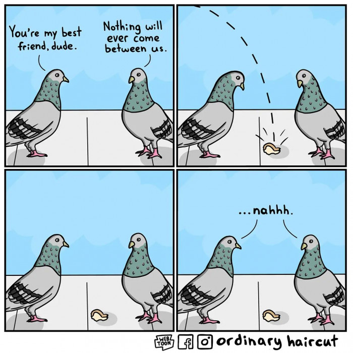 14. Did something just come in between us?