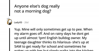 15 Interesting Stories Of The Funniest Moments In Which Dogs Chose Their Beauty Sleep Over Mornings