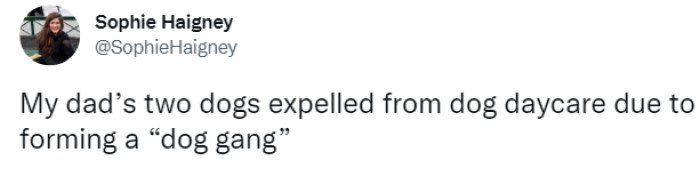 Her dad's two dogs formed a