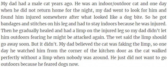 The cat was faking a limp.