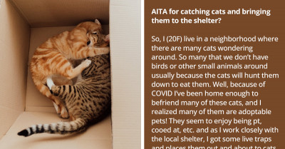 Redditors Applaud A Lady Who Unknowingly Rescued Strays From An Old Woman Who Keeps Tons Of Cats But Can't Take Care Of Them Properly