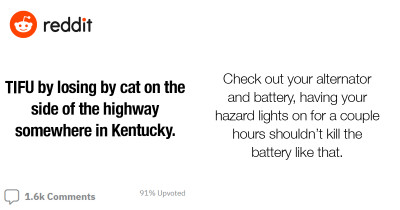 Guy Freaks Out After Not Being Able To Find His Cat While Parked On The Side The Highway