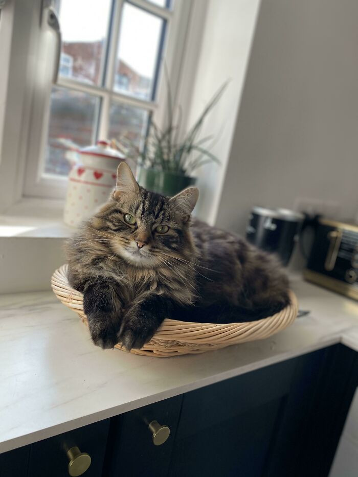 42. Such a gorgeous boy