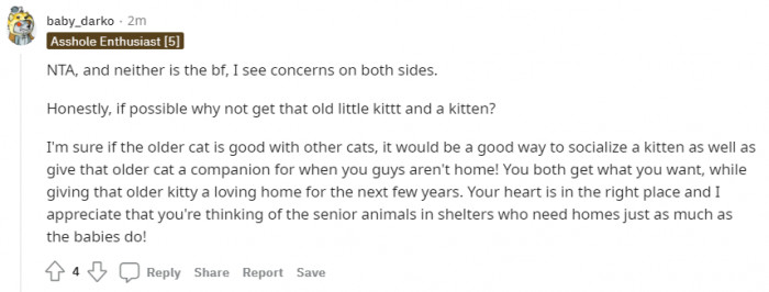 If the older one is ready to accept the younger one, then why not get them both?