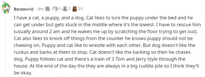 17. A train of three running through the house. All the time. Sounds adorable:)