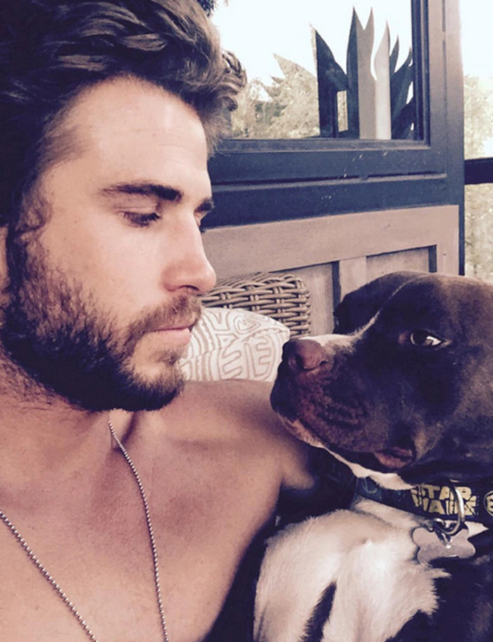 19. Liam Hemsworth and his rescue dog, Tani