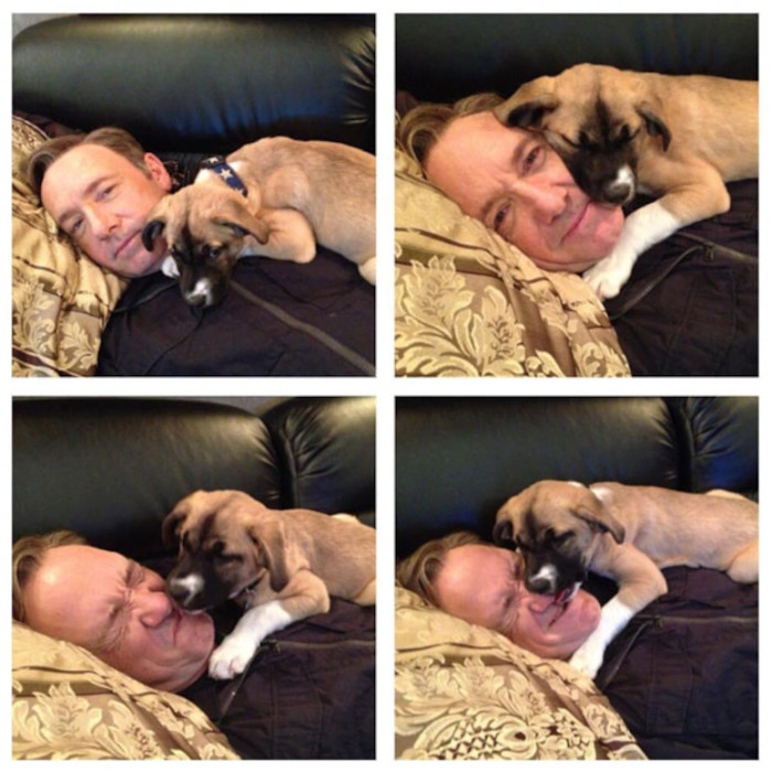 8. Kevin Spacey and his adopted pooch