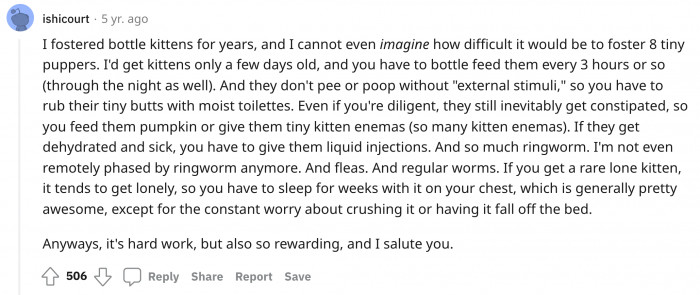 Fostering is a very challenging affair. Even if we're talking about cats.