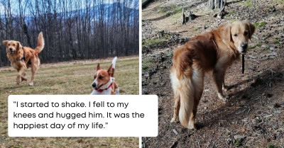 Missing Dog Trapped In A Hole Is Rescued Thanks To Another Dog