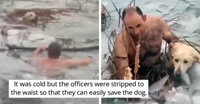 A Couple of Police Officers Courageously Endured the Cold Waters as They Rescued a Puppy