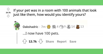 Redditor Asks What Would Pet Owners Do To Identify Their Pets In A Room Full Of 100 Animals That Look Exactly Like Them And They Reveal Their Idiosyncrasies As A Technique To Distinguish Them