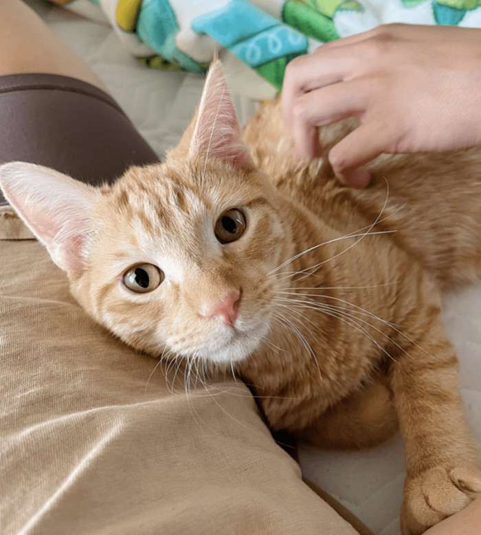 Until he was adopted, and now he poses for photos like a pro!