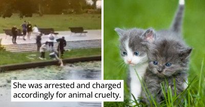 Newborn Kittens Saved From Drowning After Being Thrown Into The River By A 67-Year-Old Woman