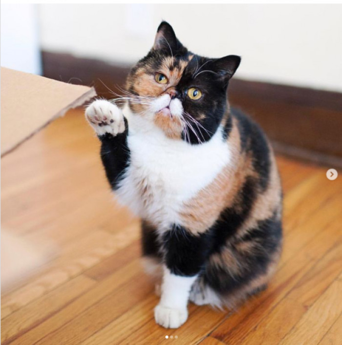 5. I'm Pudge. Come over here and give me a knuckle