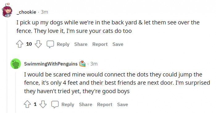 The good boys deserve some treats!