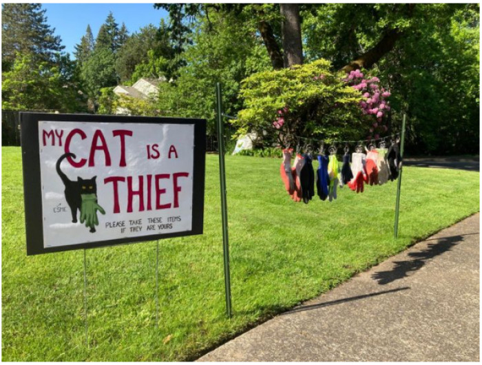 12. My cat is a thief!